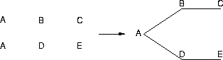 a sequence of words