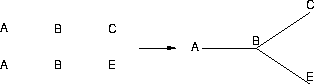 a sequence of words