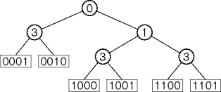 a compressed binary trie