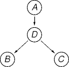 a belief network