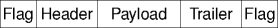 a frame with flag bytes