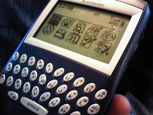 a blackberry
