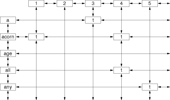 a sparse matrix