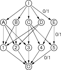 a bipartite turned network graph