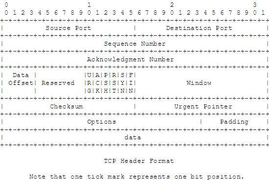 a tcp header