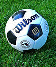a soccer ball