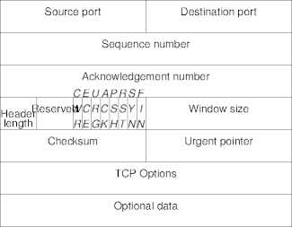 the TCP header