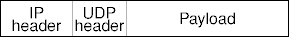 the UDP packet