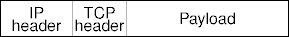 the TCP packet