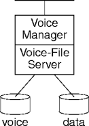 voice manager